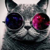cat-glasses-space-abstract-wallpaper-preview