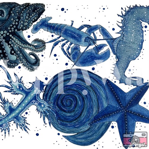 Blue ocean animals Wallpaper